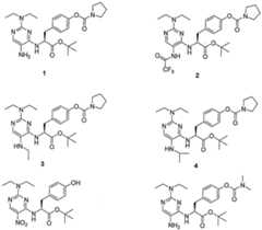 Figure imgf000091_0001