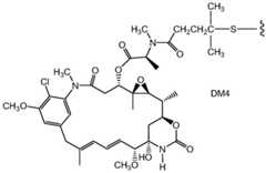 Figure BDA0001242050620000751