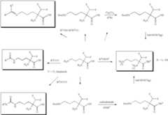 Figure US07015349-20060321-C00006