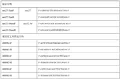 Figure BDA0001243273760000121