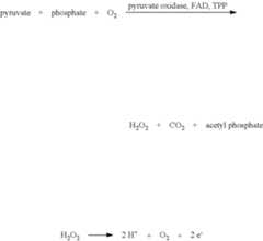 Figure US09095312-20150804-C00001