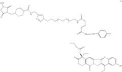 Figure US07591994-20090922-C00004