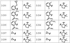 Figure BDA0003141290410000401