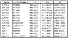 Figure imgf000032_0001