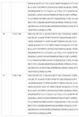 Figure imgf000173_0001