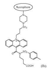 Figure imgf000030_0001