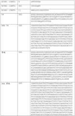 Figure BDA0002591526010000411