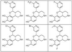 Figure imgf000046_0002