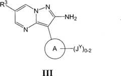 Figure FSB00000082108100061