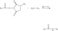 Figure US07196180-20070327-C00014