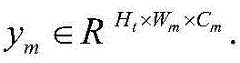 Figure BDA0003068723580000046