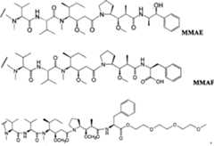 Figure A20048003970601161