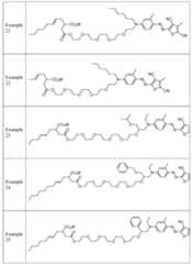 Figure imgf000021_0001