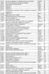 Figure imgf000066_0001