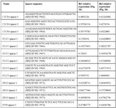 Figure imgf000604_0002