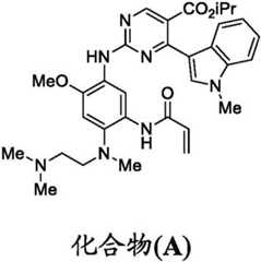 Figure FDA0002850898520000131