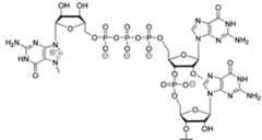 Figure imgf000096_0001