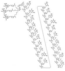 Figure 2023012548000603