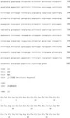 Figure IDA0002581779080001221