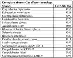 Figure imgf000079_0001