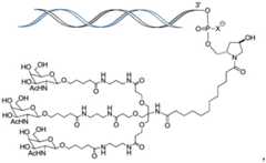 Figure FDA0003644862330000051