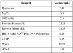 Figure imgf000056_0001