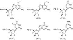 Figure imgf000086_0002