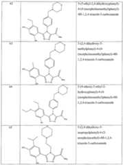 Figure imgf000106_0001