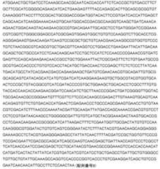 Figure 2024542085000019