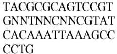Figure imgb0081