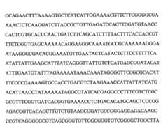 Figure 109103078-A0101-12-0110-60