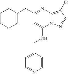 Figure US07119200-20061010-C01243