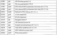 Figure imgf000125_0001