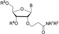 Figure FDA0003479175370000011