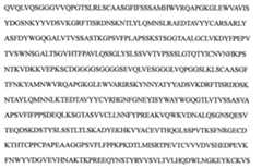 Figure 108144714-A0101-12-0094-379