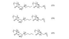Figure JPOXMLDOC01-appb-C000058