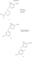 Figure US07459562-20081202-C00025