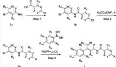 Figure BSA00000270012700131