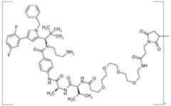 Figure imgf000955_0002