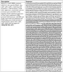 Figure imgf000593_0001