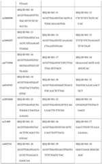 Figure BDA0000450153140000091