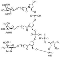 Figure imgf000261_0002