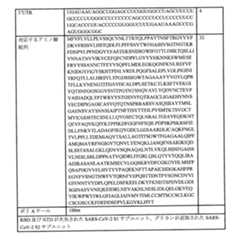 Figure 0007438604000028