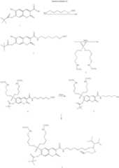 Figure US07671218-20100302-C00118