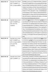 Figure imgf000032_0001