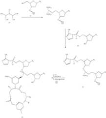 Figure US07771935-20100810-C00005