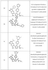 Figure imgf000069_0001