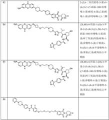 Figure BDA0003027048450003781