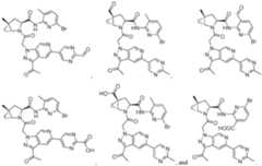 Figure imgf000124_0001