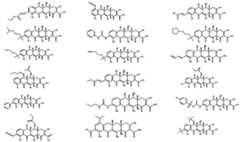 Figure imgf000092_0001